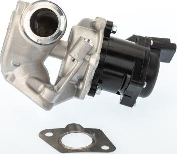 BorgWarner 710929D - Клапан повернення ОГ autocars.com.ua