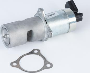 BorgWarner 710951R - Клапан повернення ОГ autocars.com.ua