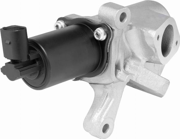 BorgWarner 712013R - Клапан повернення ОГ autocars.com.ua