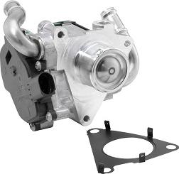 BorgWarner 72147559D - Клапан повернення ОГ autocars.com.ua
