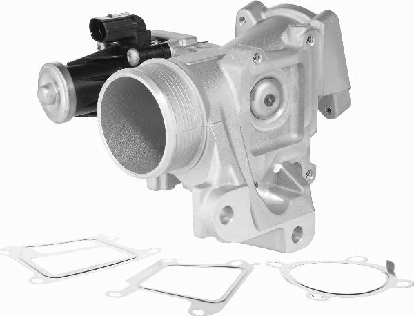 BorgWarner 729005D - Клапан повернення ОГ autocars.com.ua