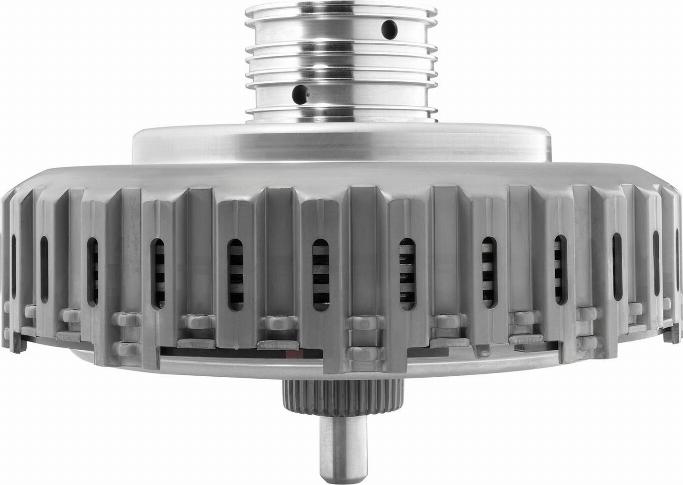 BorgWarner 202152 - Комплект зчеплення autocars.com.ua