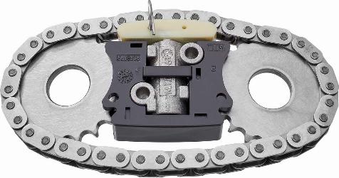 BorgWarner 59007150000 - Комплект ланцюга приводу распредвала autocars.com.ua