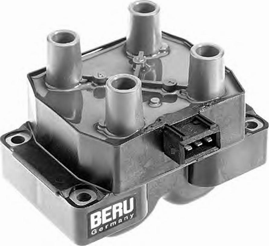 BorgWarner (BERU) 0 040 100 234 - Катушка зажигания avtokuzovplus.com.ua