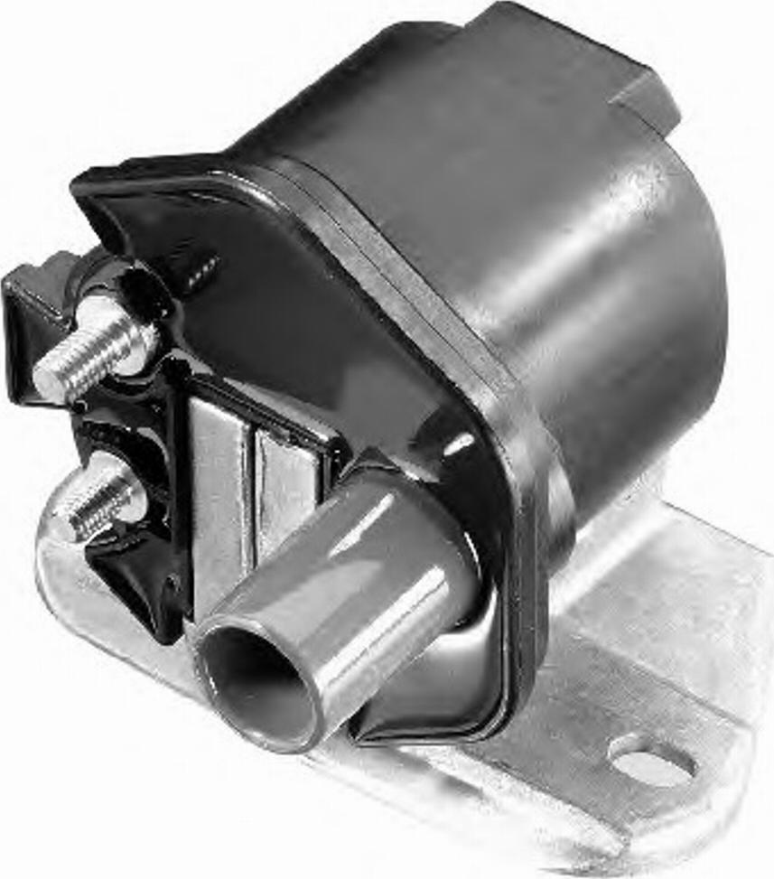 BorgWarner (BERU) 0 040 100 298 - Катушка зажигания avtokuzovplus.com.ua