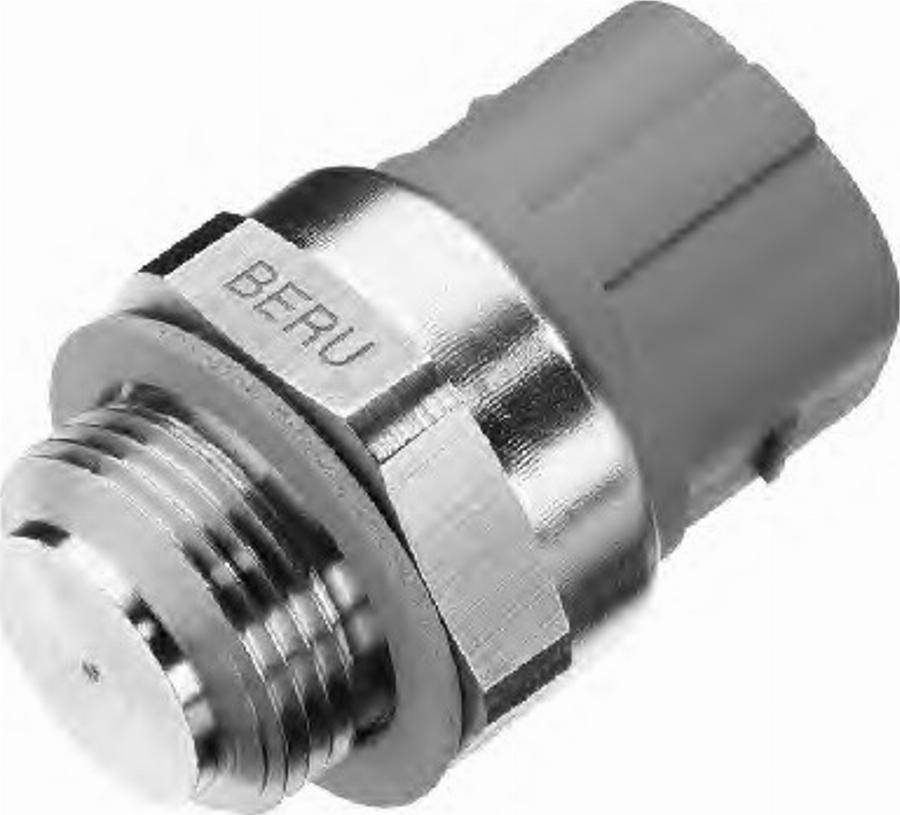 BorgWarner (BERU) 0824121160 - Термовыключатель, вентилятор радиатора / кондиционера avtokuzovplus.com.ua