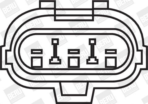 BorgWarner (BERU) ZS264 - Катушка зажигания avtokuzovplus.com.ua