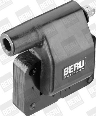 BorgWarner (BERU) ZS282 - Катушка зажигания avtokuzovplus.com.ua