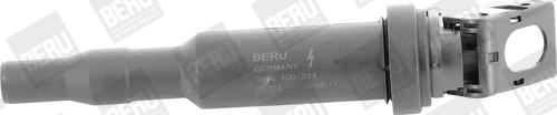 BorgWarner (BERU) ZS324 - Катушка зажигания avtokuzovplus.com.ua