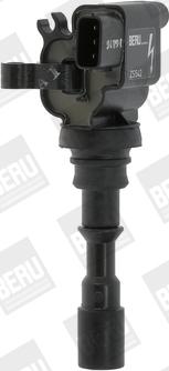 BorgWarner (BERU) ZS542 - Катушка зажигания avtokuzovplus.com.ua