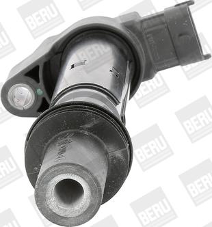 BorgWarner (BERU) ZS557 - Катушка зажигания avtokuzovplus.com.ua