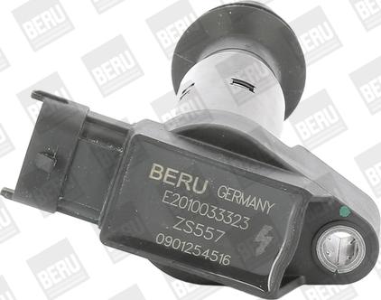 BorgWarner (BERU) ZS557 - Катушка зажигания avtokuzovplus.com.ua