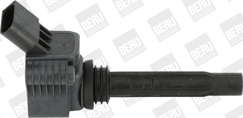 BorgWarner (BERU) ZSE067 - Катушка зажигания avtokuzovplus.com.ua