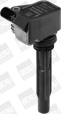 BorgWarner (BERU) ZSE067 - Катушка зажигания avtokuzovplus.com.ua