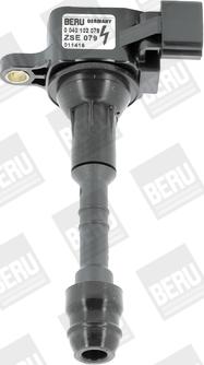 BorgWarner (BERU) ZSE079 - Катушка зажигания avtokuzovplus.com.ua