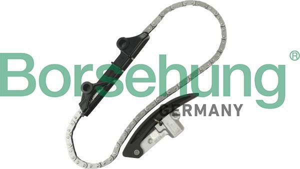 Borsehung B10209 - Комплект ланцюга приводу распредвала autocars.com.ua