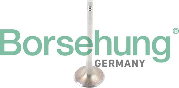 Borsehung B10341 - Комплект поршневих кілець autocars.com.ua