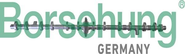 Borsehung B11325 - Шестерня приводу розподільного вала autocars.com.ua