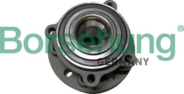Borsehung B11717 - Комплект підшипника маточини колеса autocars.com.ua