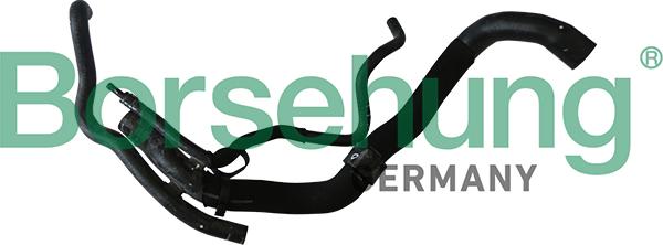 Borsehung B11963 - Шланг радіатора autocars.com.ua