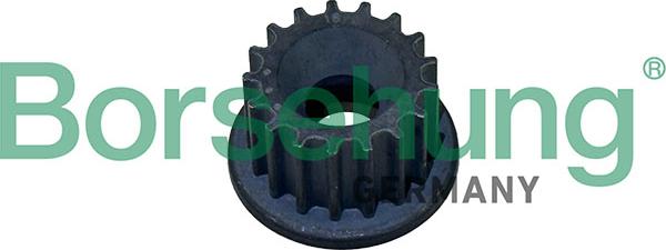 Borsehung B12084 - Ремінний шків, водяний насос autocars.com.ua