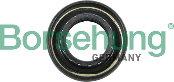 Borsehung B12194 - Уплотняющее кольцо, ступенчатая коробка передач autodnr.net