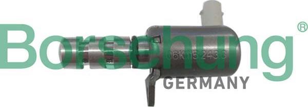 Borsehung B12314 - Клапан регулювання тиску масла autocars.com.ua