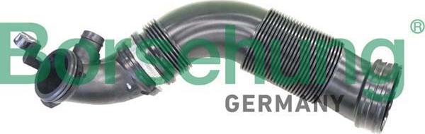 Borsehung B12325 - Рукав повітрозабірника, повітряний фільтр autocars.com.ua