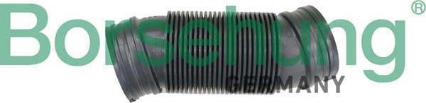 Borsehung B12326 - Рукав повітрозабірника, повітряний фільтр autocars.com.ua
