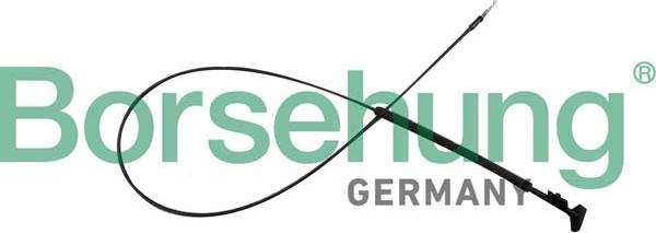 Borsehung B12343 - Трос, регулювання спинки сидіння autocars.com.ua
