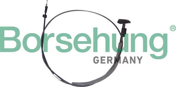 Borsehung B12344 - Трос, регулювання спинки сидіння autocars.com.ua