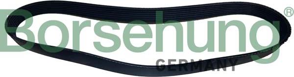 Borsehung B12504 - Поликлиновой ремінь autocars.com.ua