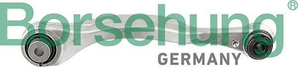 Borsehung B12552 - Осьовий шарнір, рульова тяга autocars.com.ua