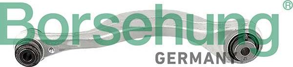 Borsehung B12553 - Осьовий шарнір, рульова тяга autocars.com.ua