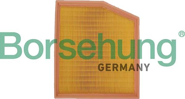 Borsehung B12701 - Повітряний фільтр autocars.com.ua
