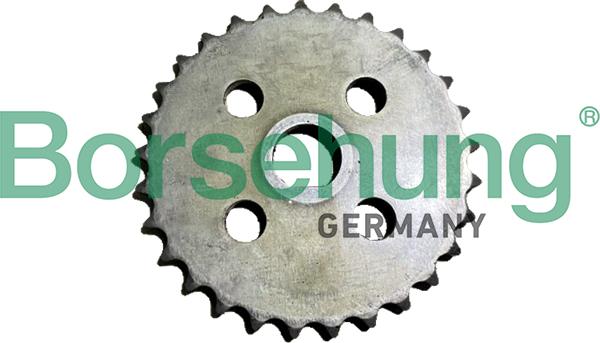 Borsehung B12731 - Масляний насос autocars.com.ua