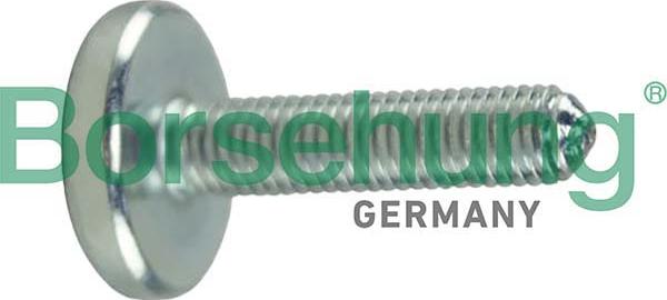 Borsehung B12747 - Гвинт, масляний піддон автоматичної коробки передач autocars.com.ua