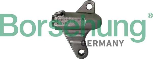 Borsehung B12760 - натягувач, ланцюг приводу autocars.com.ua