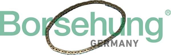 Borsehung B12768 - Ланцюг приводу распредвала autocars.com.ua