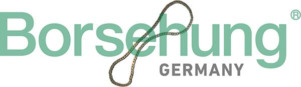 Borsehung B12769 - Ланцюг приводу распредвала autocars.com.ua