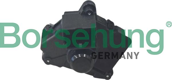 Borsehung B12882 - Перемикач запалювання autocars.com.ua