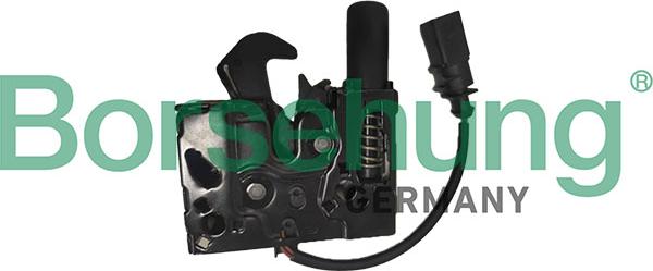 Borsehung B12895 - Замок капота autocars.com.ua