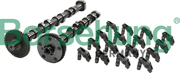 Borsehung B12995 - Комплект распредвала autocars.com.ua