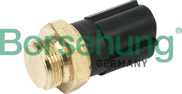 Borsehung B13129 - Термовыключатель, вентилятор радиатора / кондиционера autodnr.net