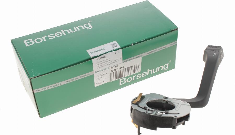 Borsehung B17976 - Вимикач на рульовій колонці autocars.com.ua