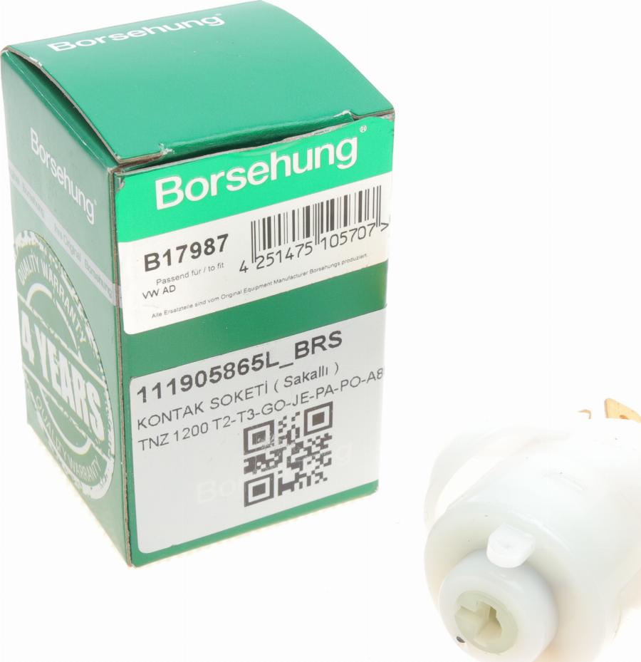 Borsehung B17987 - Переключатель зажигания avtokuzovplus.com.ua