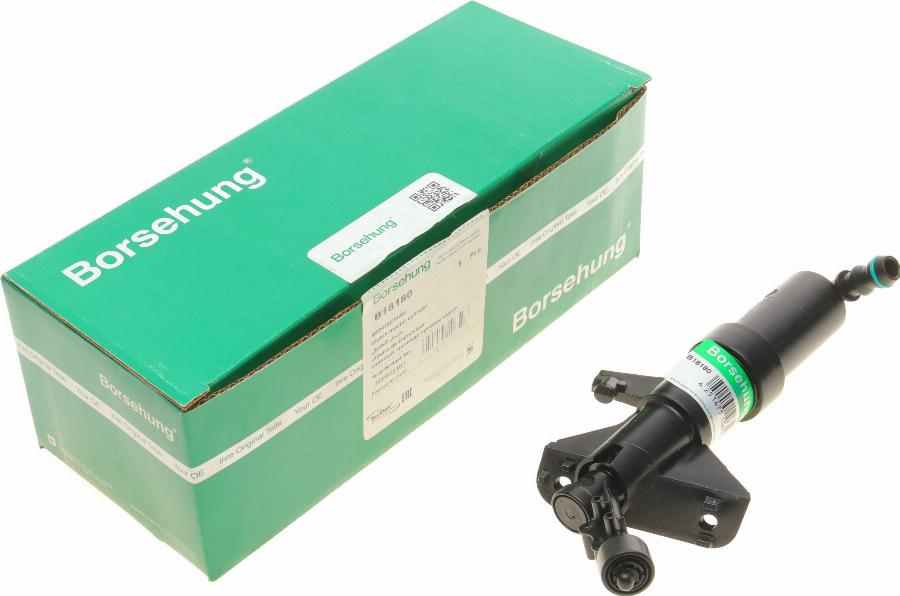 Borsehung B18180 - Розпилювач, форсунка, система очищення фар autocars.com.ua