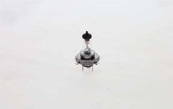 BOSCH F 002 H10 019 - Лампа розжарювання, основна фара autocars.com.ua