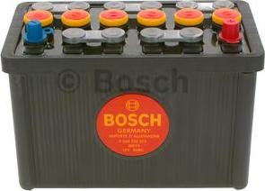 BOSCH F 026 T02 314 - Стартерна акумуляторна батарея, АКБ autocars.com.ua