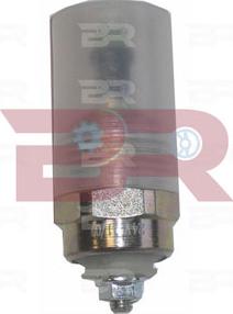 BOTTO RICAMBI BREL7161 - Клапан, система уприскування autocars.com.ua